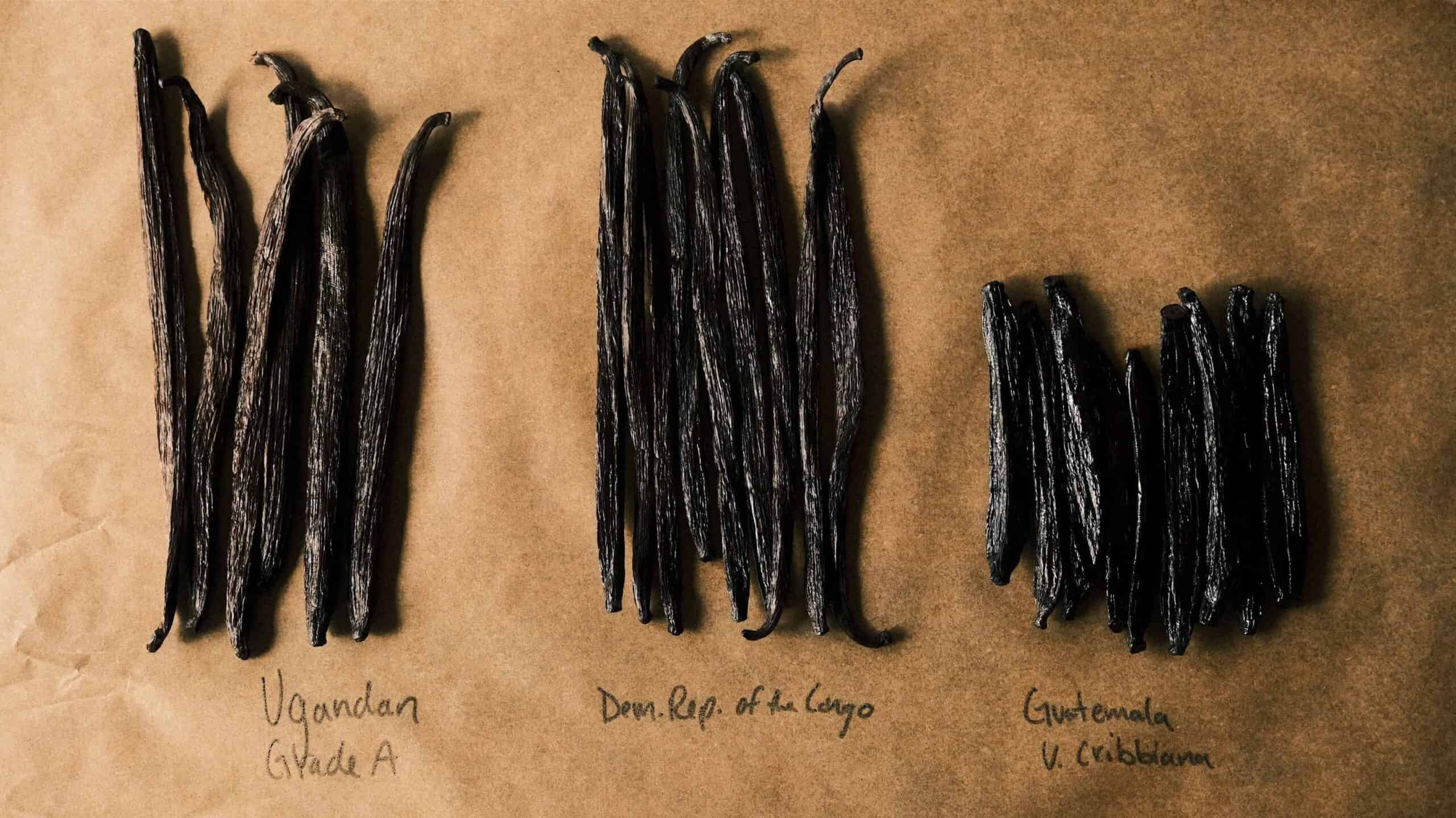 Make Your Own Vanilla